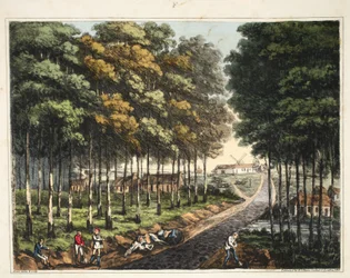 Rand van het Zoniënwoud met een verre blik op het dorp Mont St Jean